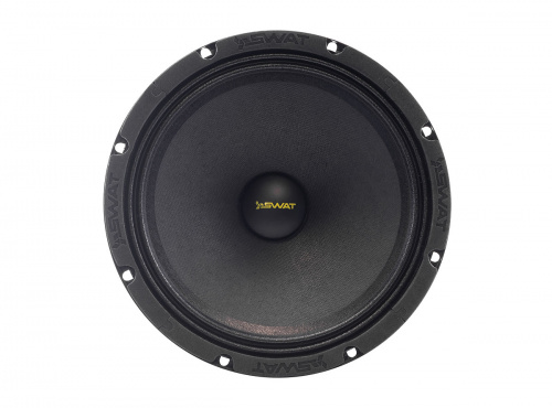 SWAT SBT-80Pro, 8", 250 Вт.